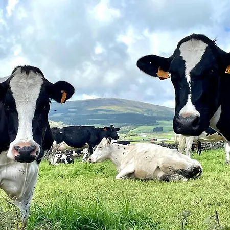Casa As Nove * Angra do Heroísmo