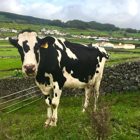 Casa As Nove * Angra do Heroísmo