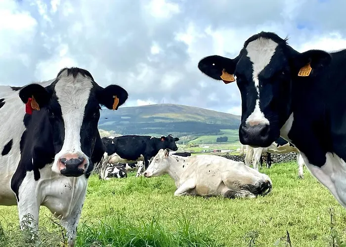 Casa As Nove * Angra do Heroismo