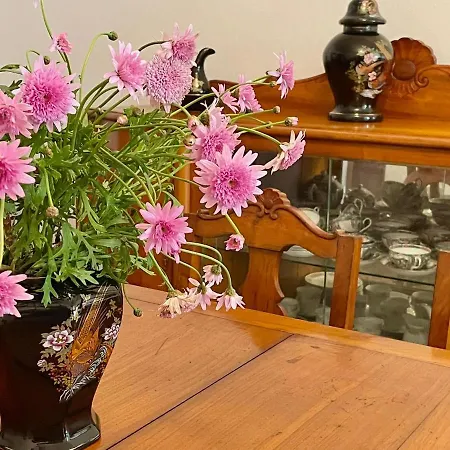 Casa As Nove Prázdninový dům Angra do Heroísmo