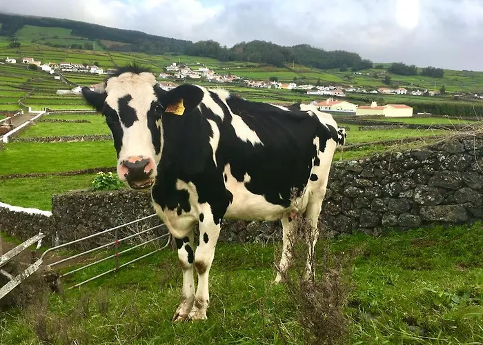 Casa As Nove * Angra do Heroísmo